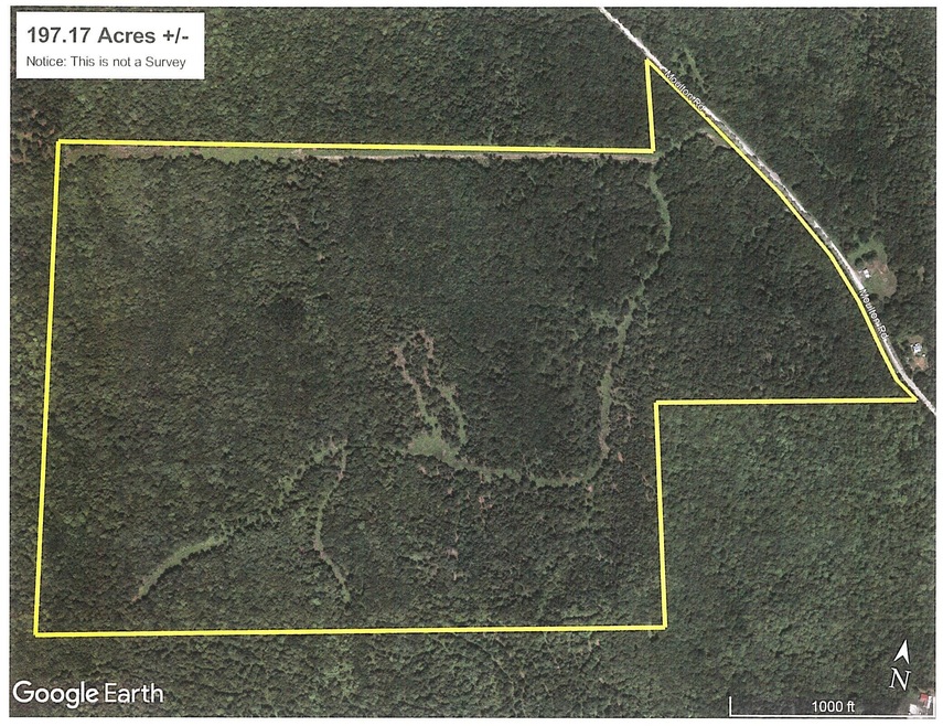 Williams Estate 197.17 acres