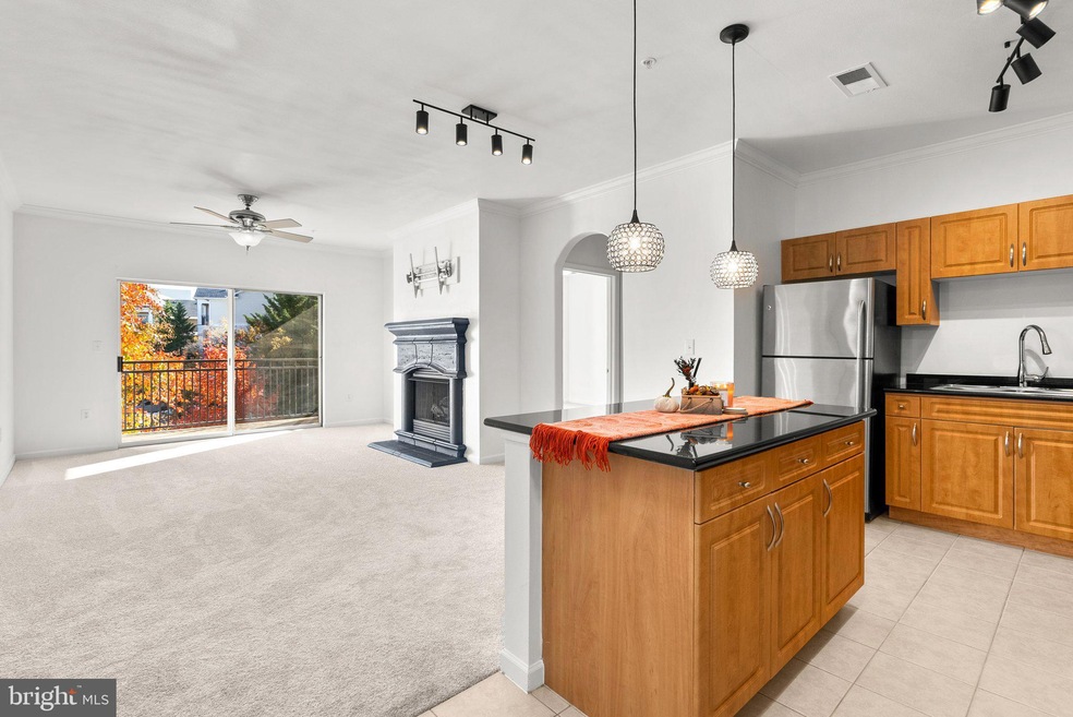 12933 Centre Park Cir unit 301, Herndon, VA 20171 - photo 1