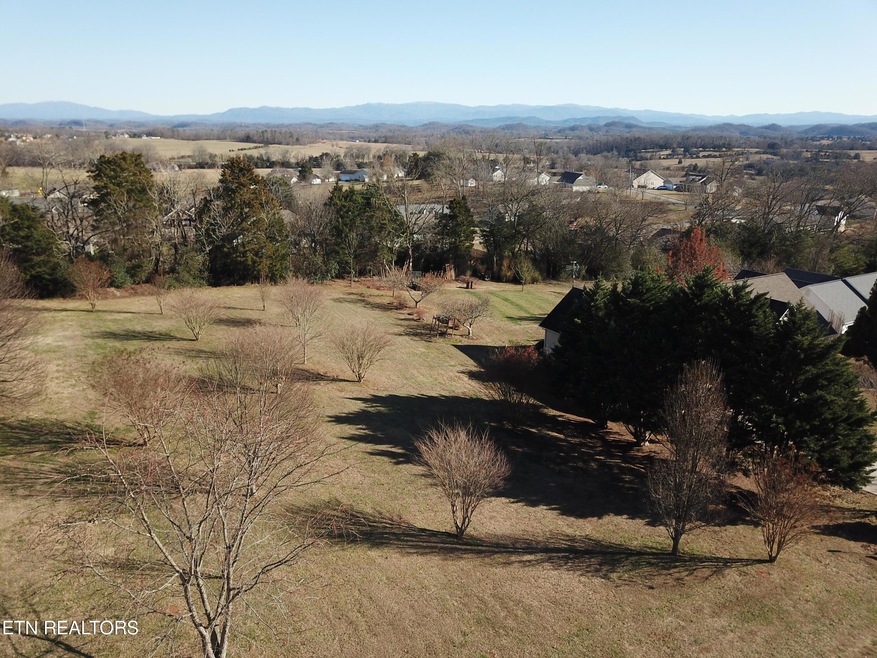 DJI_0040