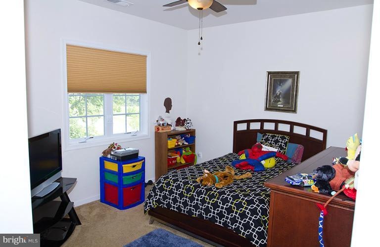 42354 Equality St, Chantilly, VA 20152 - photo 1