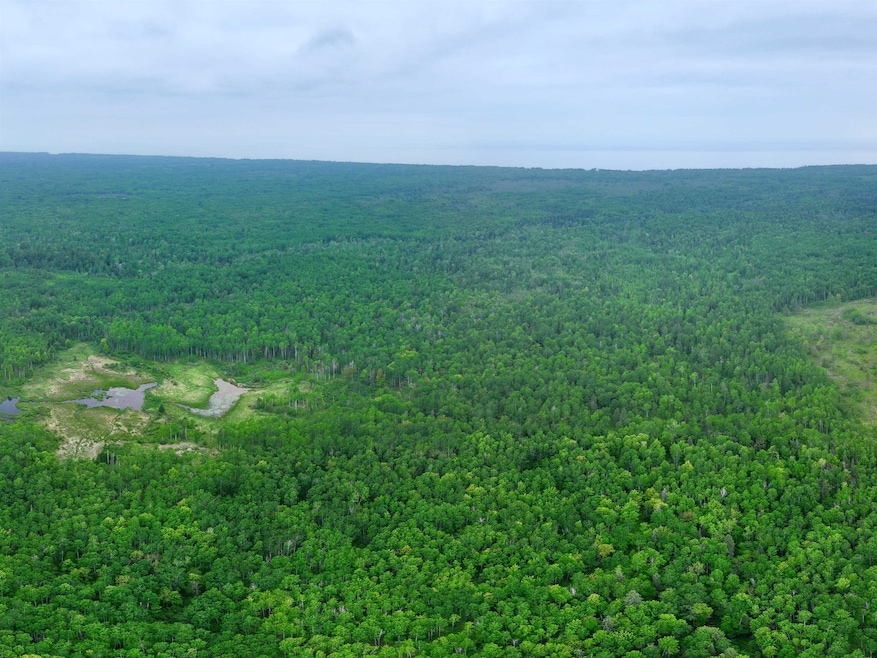 80 Acres Near Tar Paper Aly, Orienta, WI 54820 - photo 1