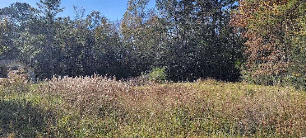 121 Oak Log Lake Rd, Conway, SC 29526 - photo 1