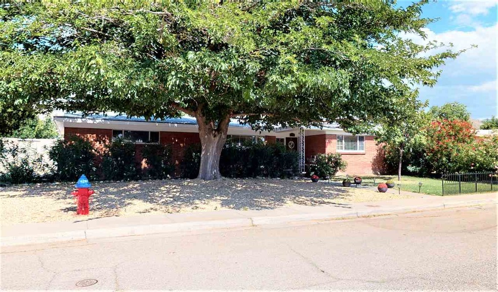 1610 Park Ave, Alamogordo, NM 88310 - photo 1