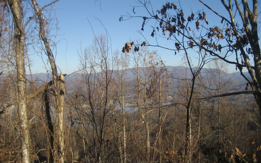 Main View