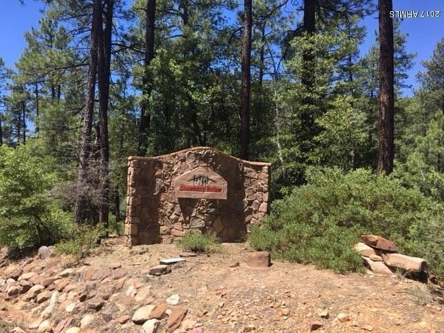 37 Strawberry Hollow Dr unit 37, Pine, AZ 85544 - photo 1