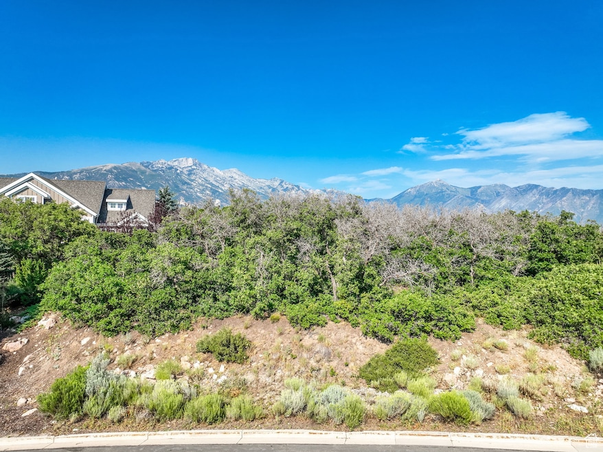 View of mountain backdrop