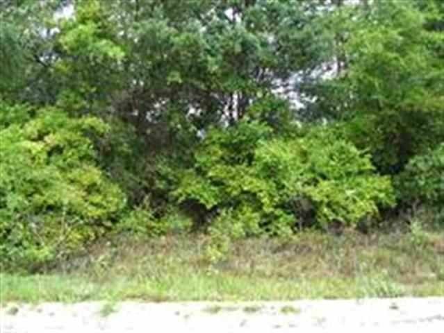 unlisted-address, Crawfordville, FL 32327 - photo 1