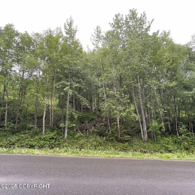 L12 White Spruce Drive