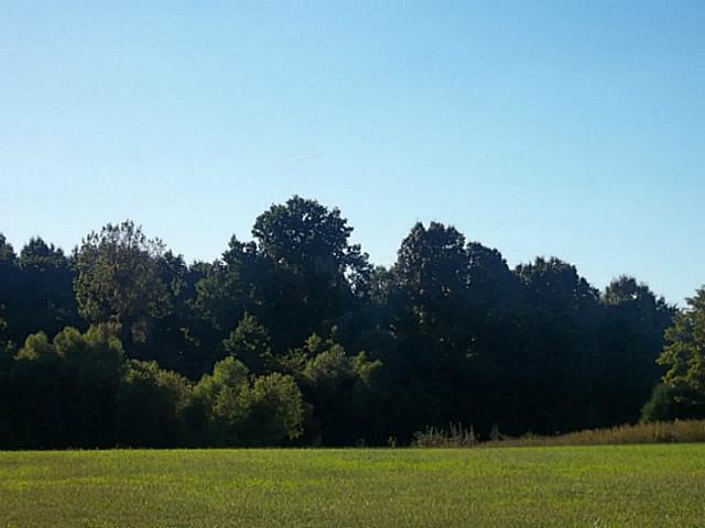 Gorgeous level lot.  Wooded area on adjacent lot a