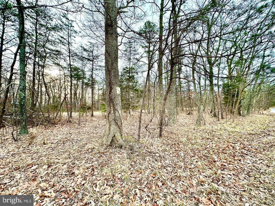 Lot 4 N Timber Ridge Rd, Cross Junction, VA 22625 - photo 1