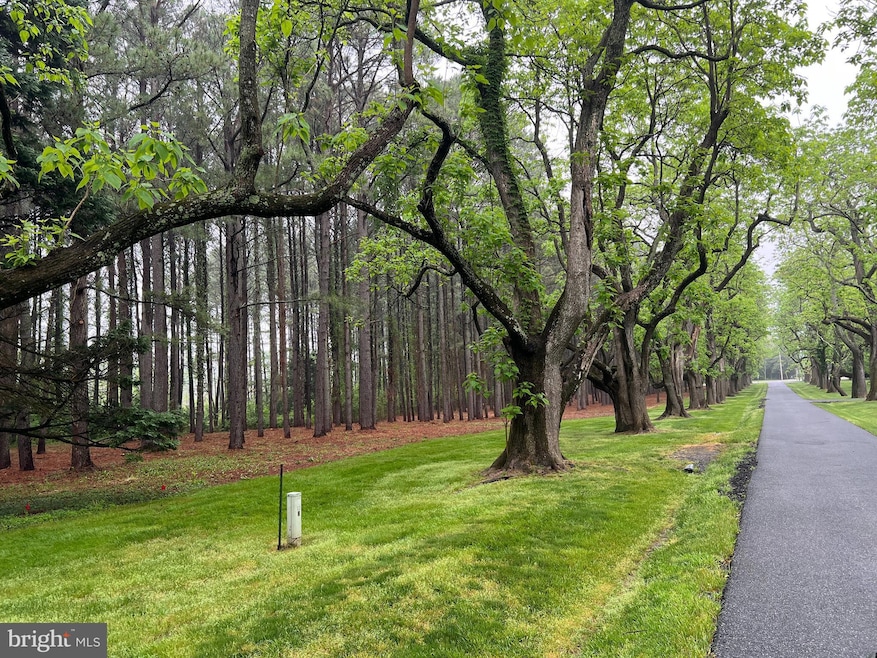 Lot B Catalpa Point Rd, Easton, MD 21601 - photo 1