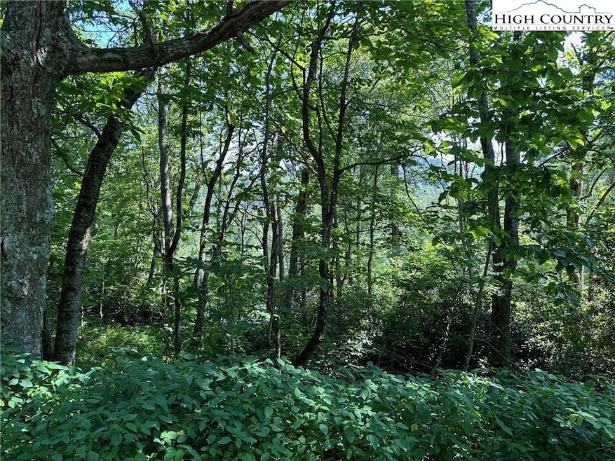 TBD Camden Ln, Blowing Rock, NC 28605 - photo 1