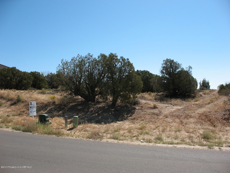 6300 Old Course Dr, Farmington, NM 87402 - photo 1
