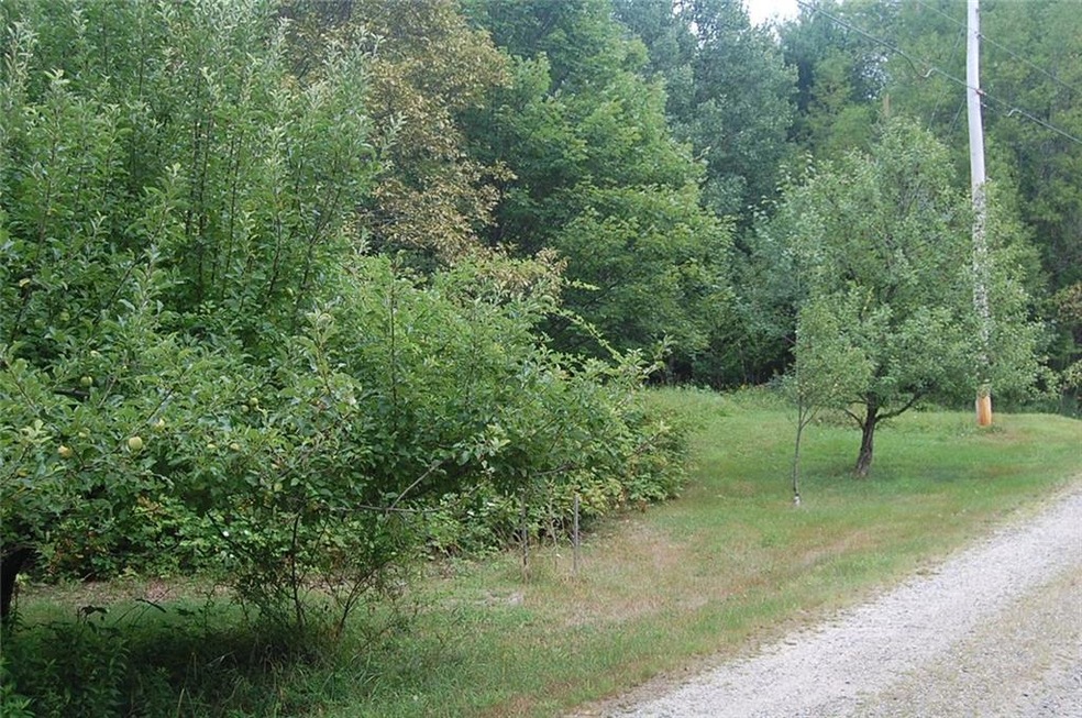 0 Libby Rd unit 1295827, Newfield, ME 04056 - photo 1