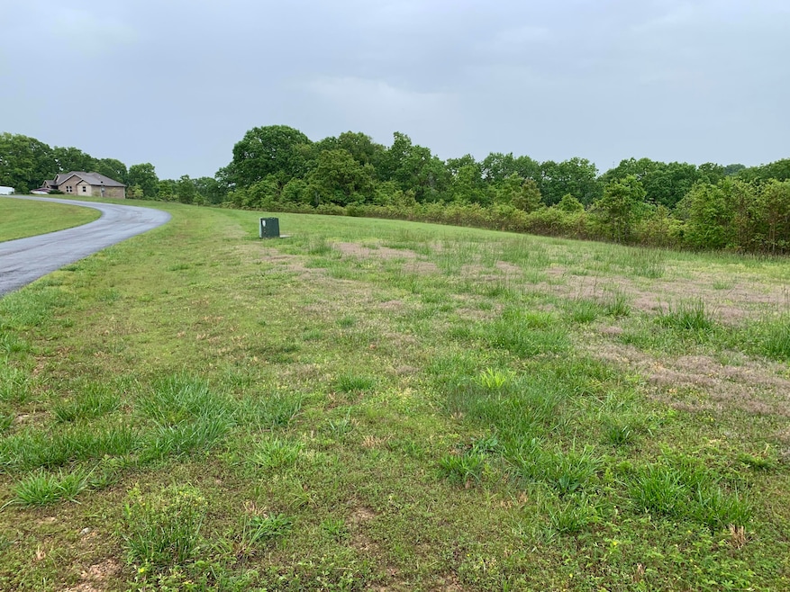 Lot 35a Hidden Springs, Reeds Spring, MO 65737 - photo 1