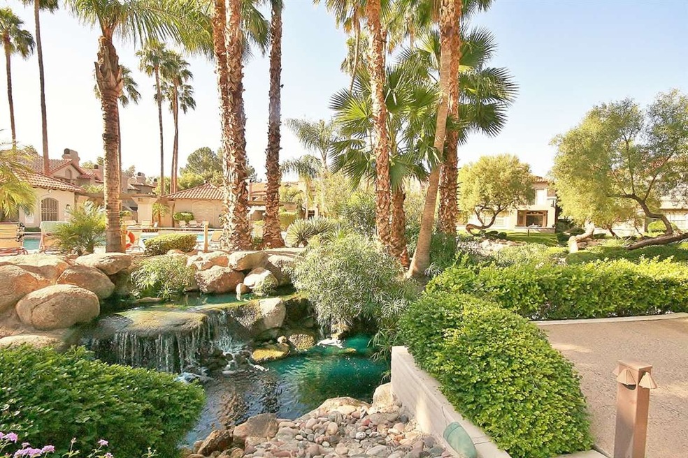 Welcome to Paradise!