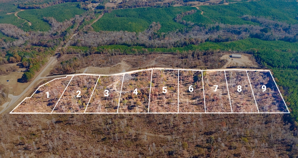 8 County Road 4251, New Site, MS 38859 - photo 1