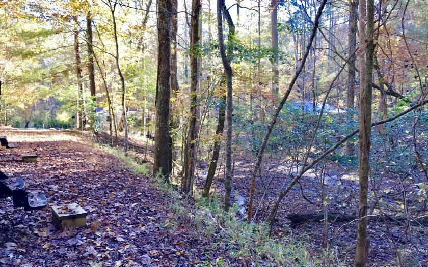 Main View