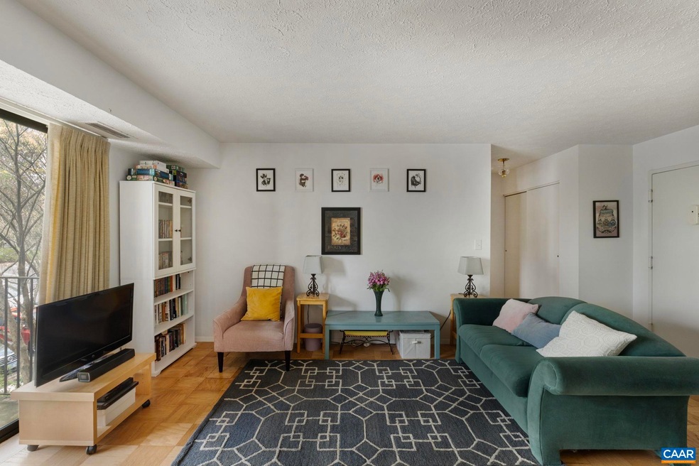 511 1st St N unit 309, Charlottesville, VA 22902 - photo 1