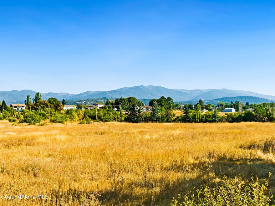 00-Field