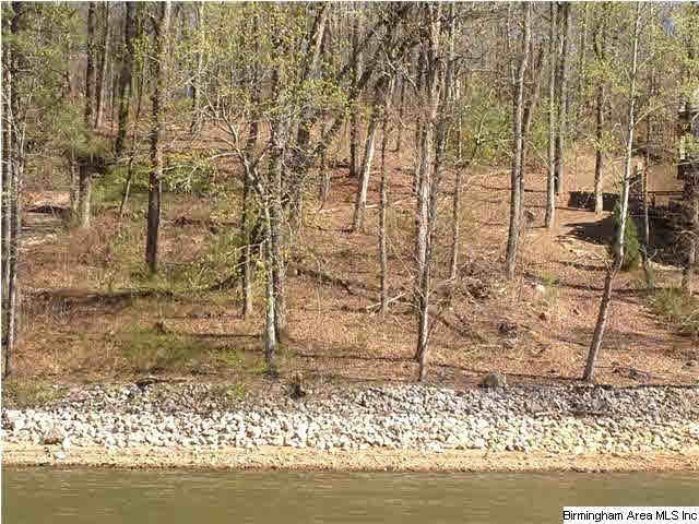 Gorgeous Lake front property