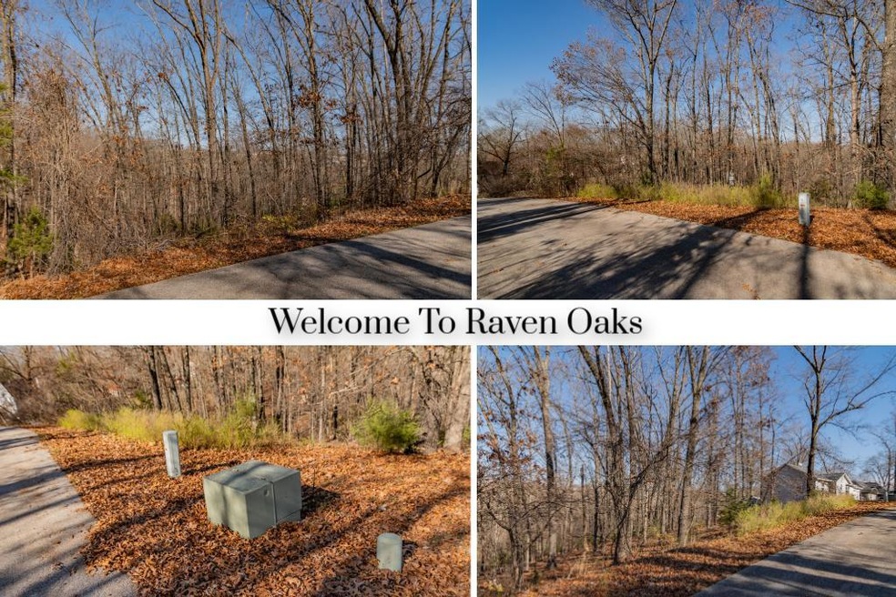 Lot #1 Raven Oak Dr, Kimberling City, MO 65686 - photo 1