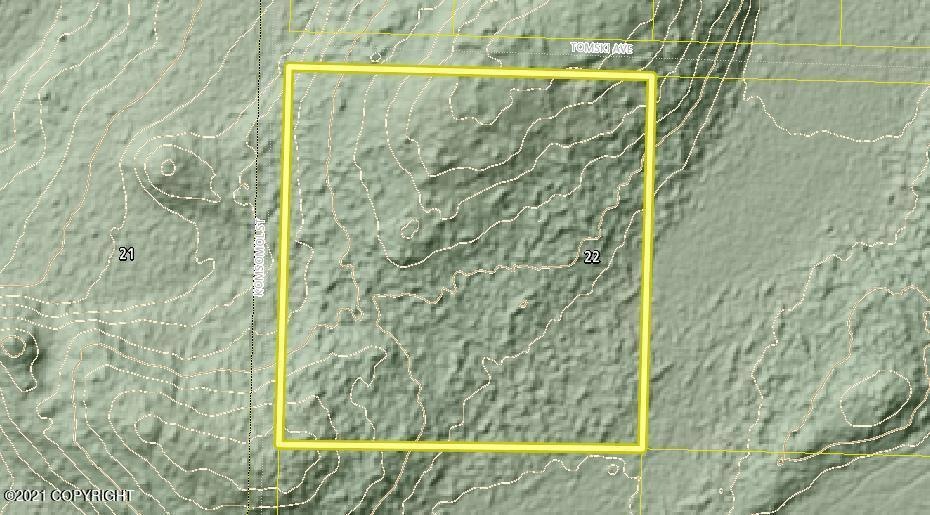 Tr 29 Tomski, Anchor Point, AK 99556 - photo 1