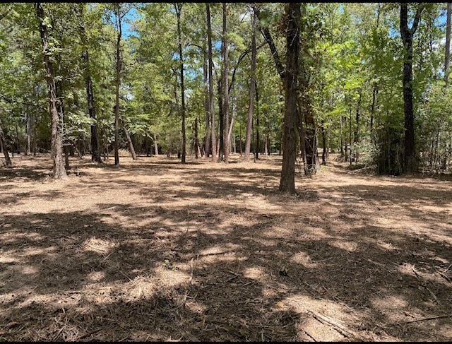 Sold • Co-Listing Agent