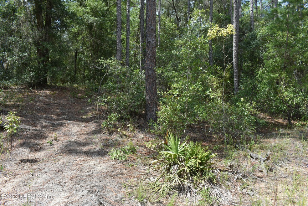 3 LOTS