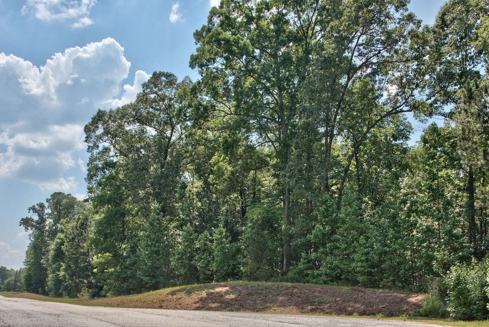 1190 Waterstone Dr, Madison, GA 30650 - photo 1