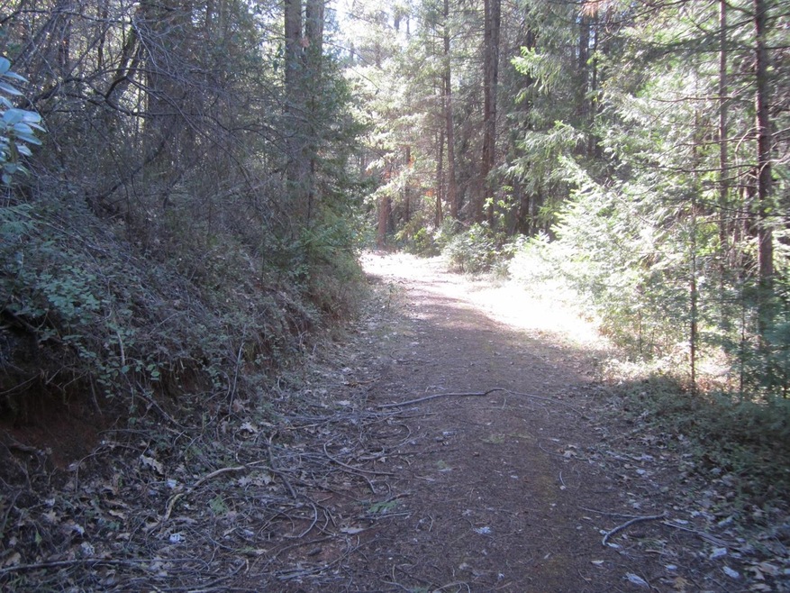 1636 Swansboro Rd, Placerville, CA 95667 - photo 1