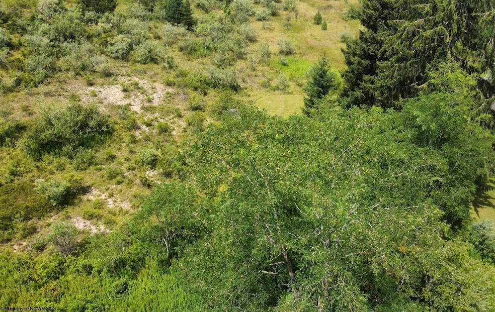 57 Bluebird Dr, Terra Alta, WV 26764 - photo 1