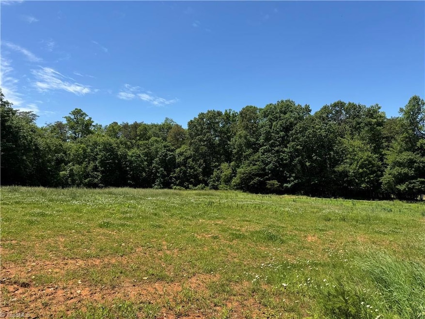 1065 Kiser Acres Rd, King, NC 27021 - photo 1