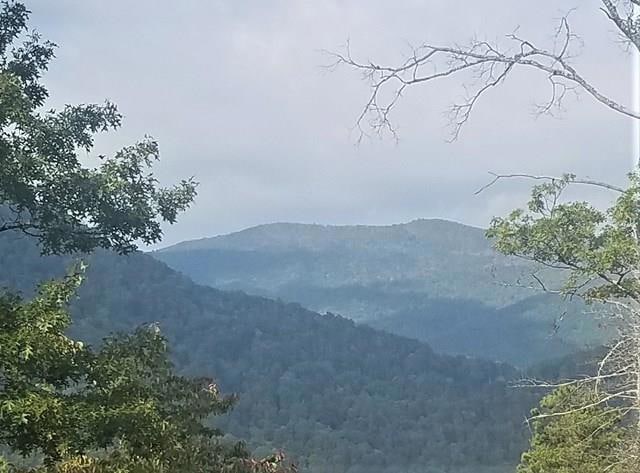 3995 Conley's Creek Rd, Whittier, NC 28789 - photo 1