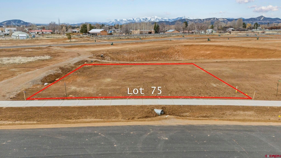 113 Cielo Way, Durango, CO 81303 - photo 1