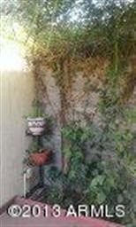 TAMARISK 1