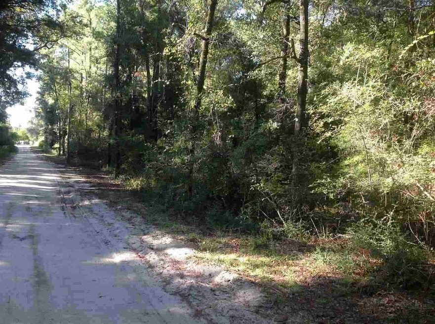 0 Tom White Ln, Crawfordville, FL 32327 - photo 1
