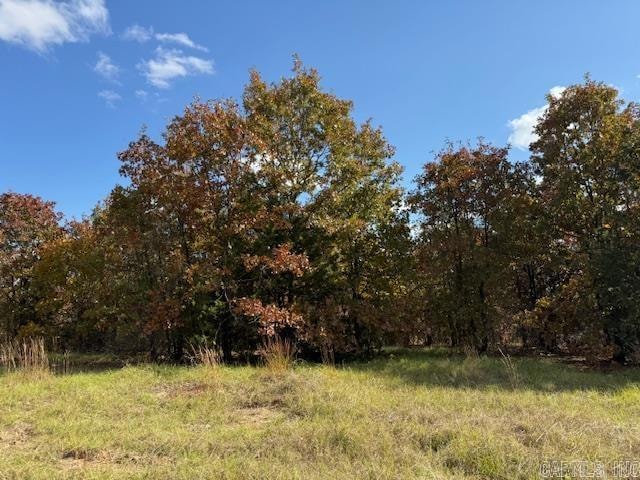 81 Summer Sky Dr, Greenbrier, AR 72058 - photo 1