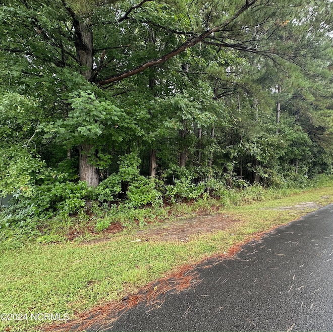 Wooded view