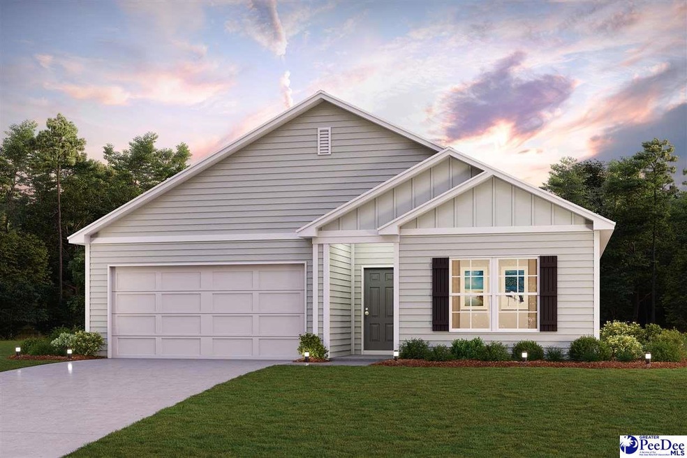 1953 E Paces Trail, Darlington, SC 29532 - photo 1