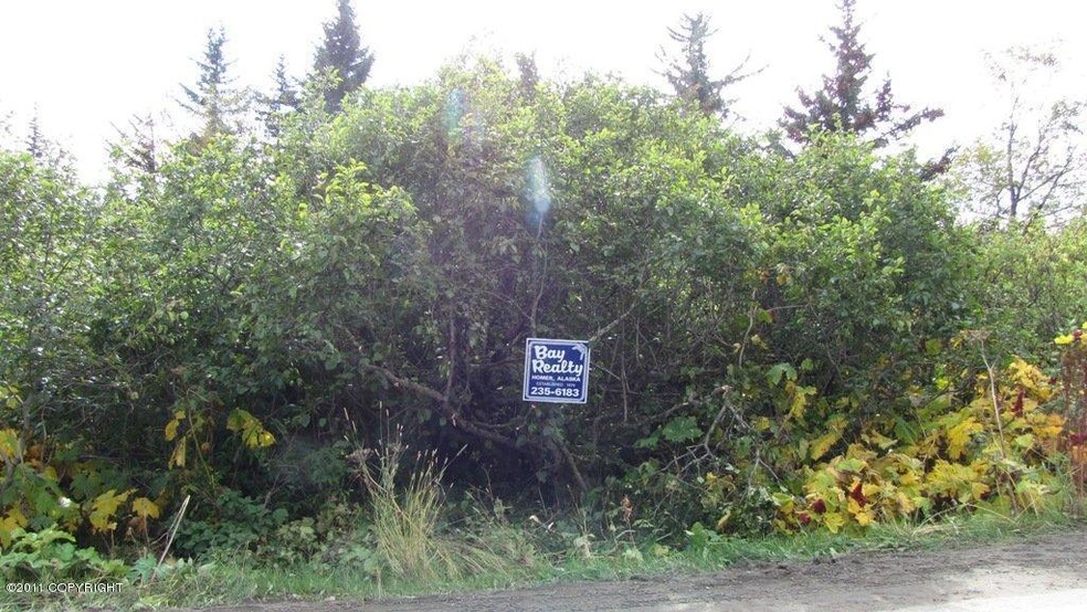 Land