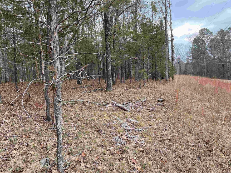 0 Mccall Rd unit 24005759, Heber Springs, AR 72543 - photo 1