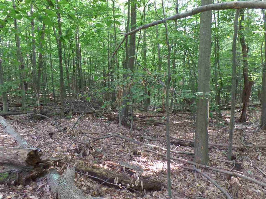 30 Catamount Rd, Pittsfield, NH 03263 - photo 1