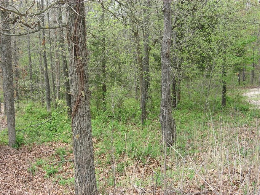 0 St Ives Ln unit 1001952, Bella Vista, AR 72714 - photo 1