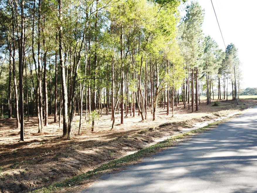 001 Cactus Dr, Laurel, MS 39443 - photo 1