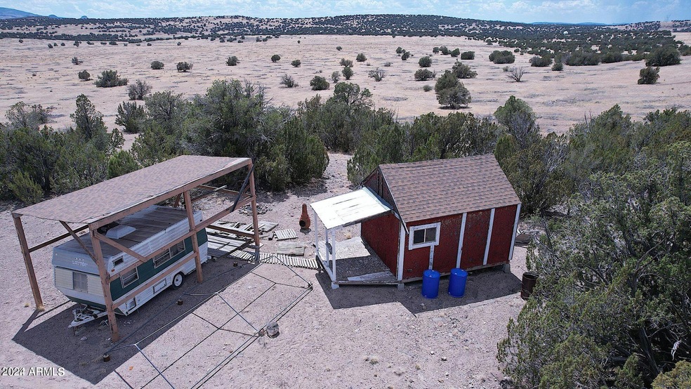 ponderosa