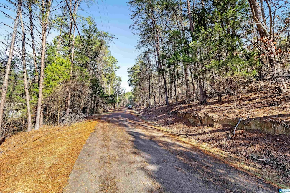 7595 McCombs Mill Rd, Pinson, AL 35126 - photo 1