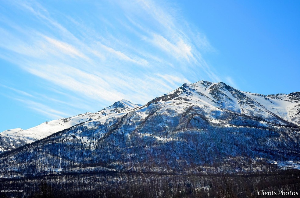 Mountain View 1