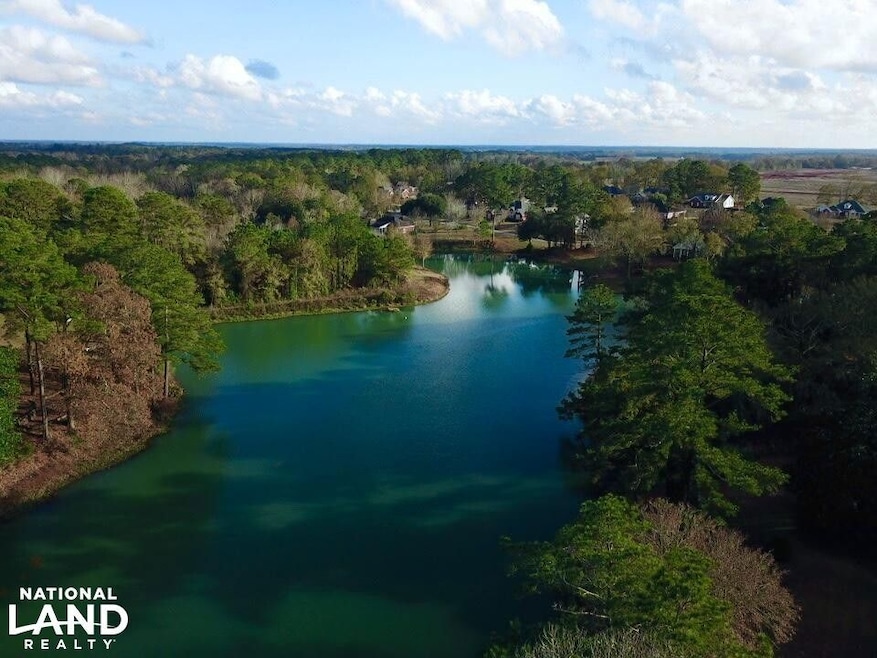 0 N Hwy 431 unit 22459364, Headland, AL 36345 - photo 1