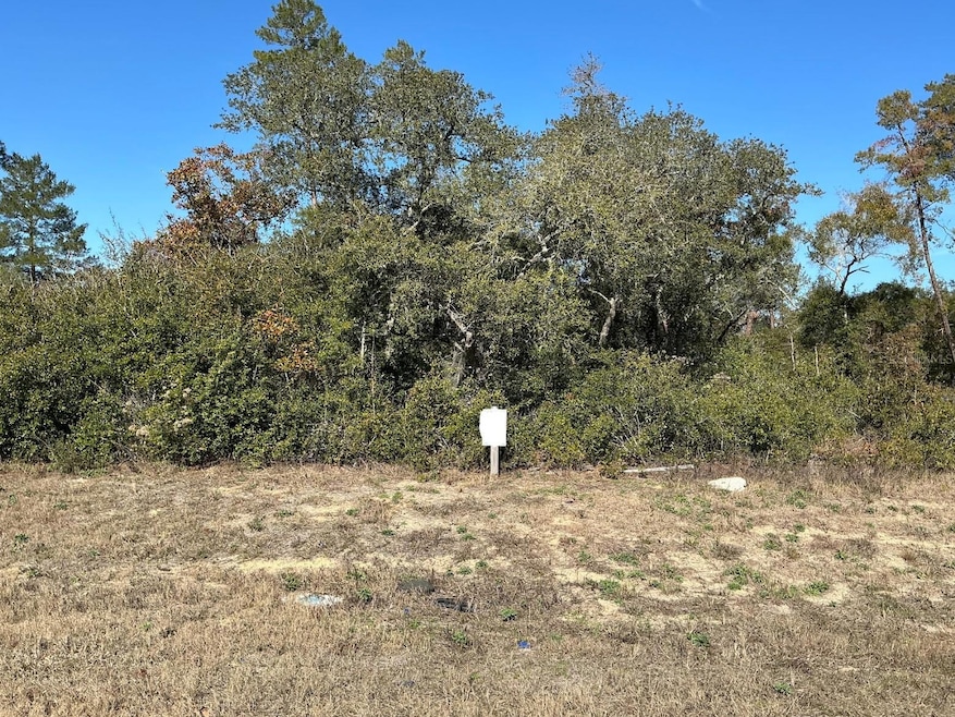 0 SW 165th Loop unit MFROM714271, Ocala, FL 34473 - photo 1